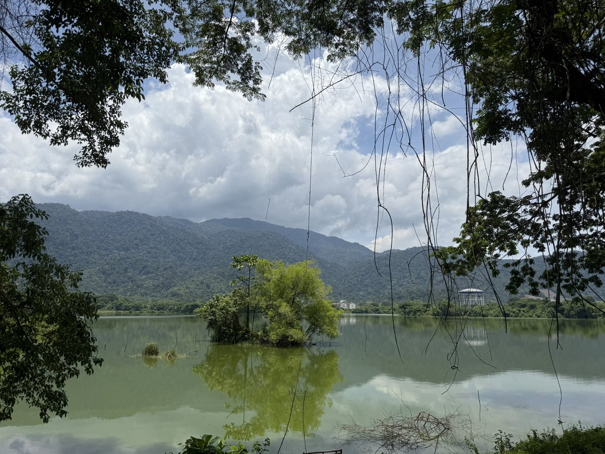 九狼(KURO)@サイドFire,マレーシア移住生活 tweet media