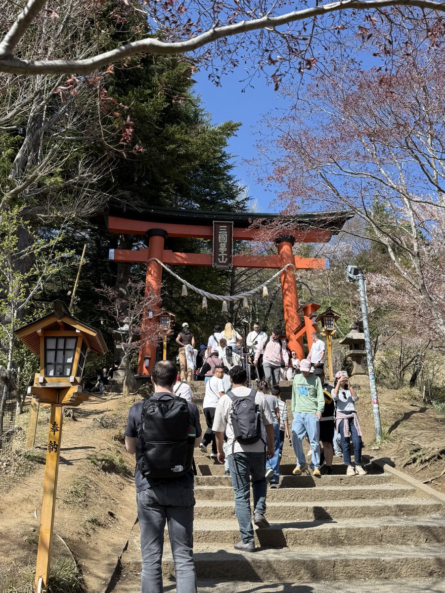 Miyachan tweet media