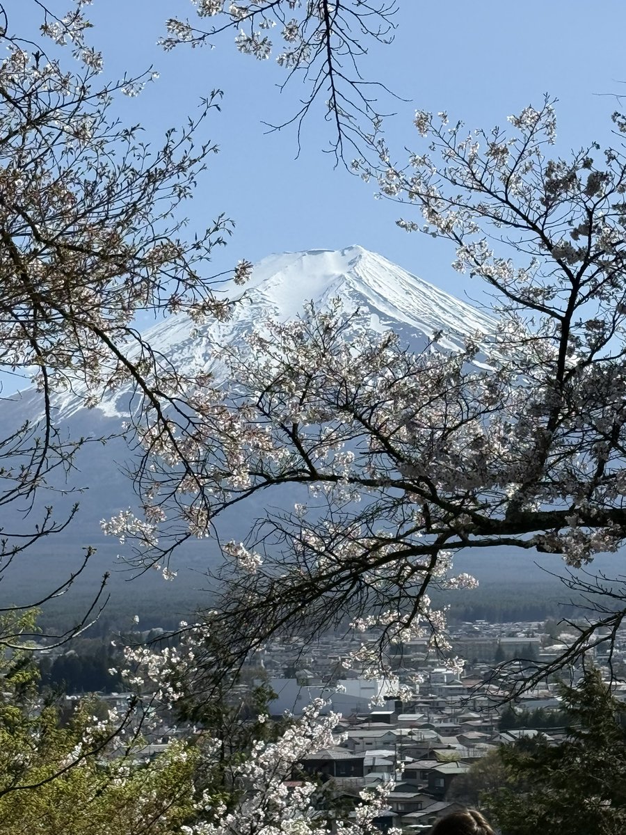 Miyachan tweet media