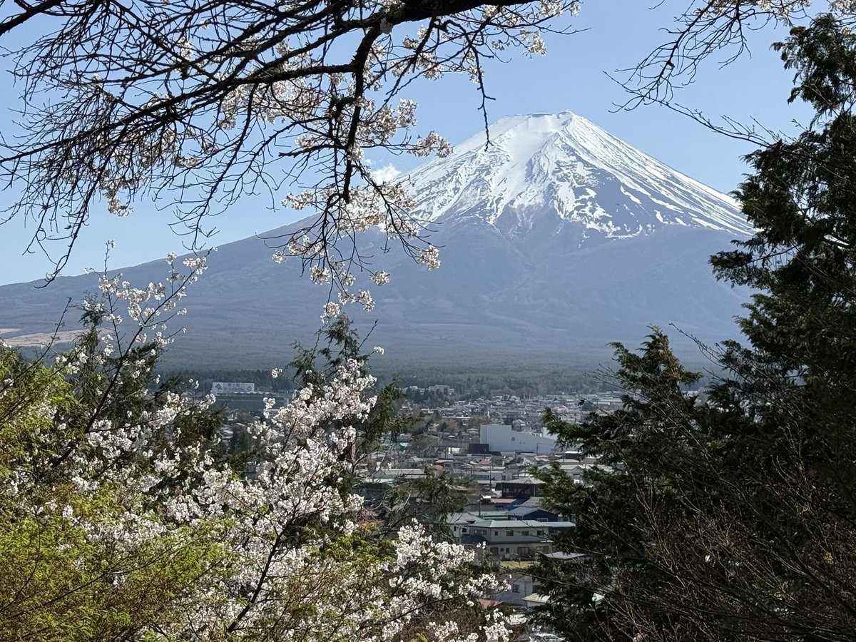 Miyachan tweet media