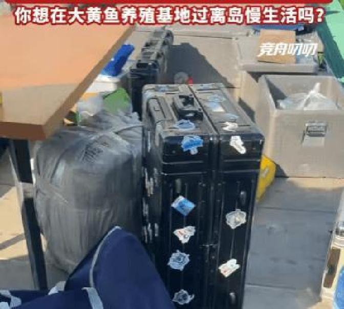 MyRanda Mahon tweet media