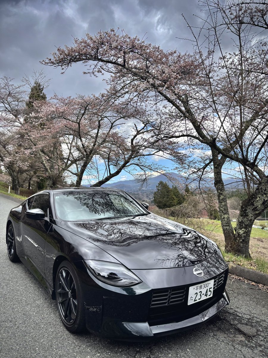 苔抹茶 tweet media