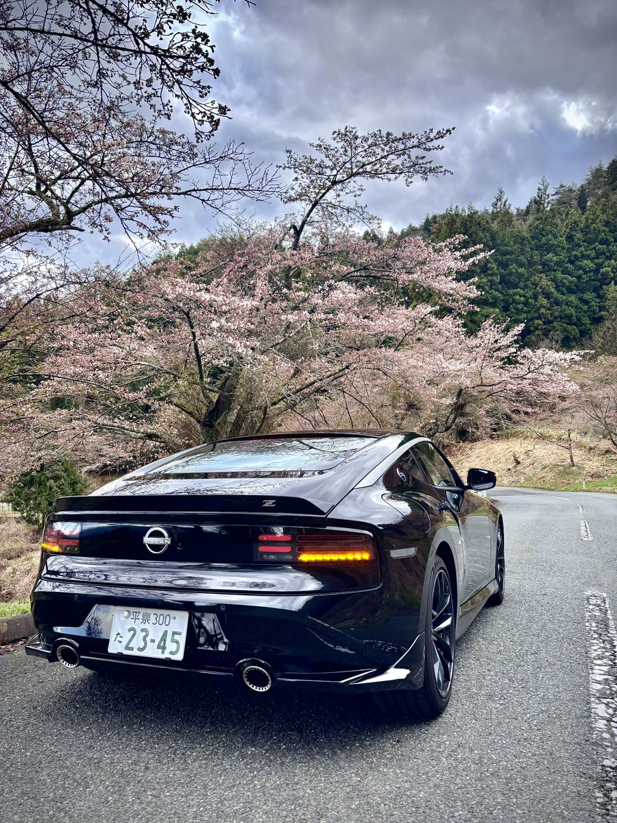 苔抹茶 tweet media