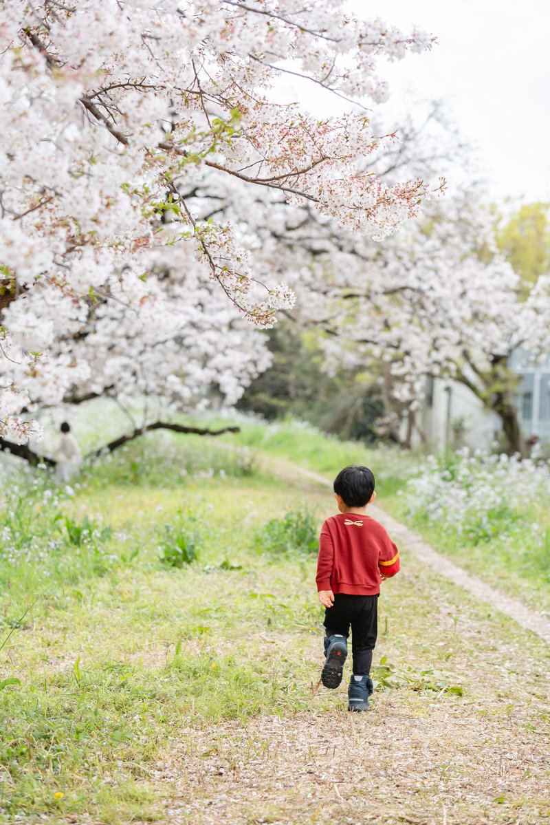 erico（Ellie GateGolden） tweet media