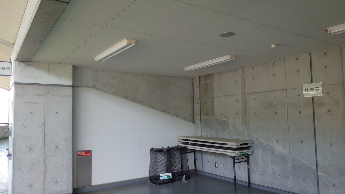 まゆみーん〄 tweet media