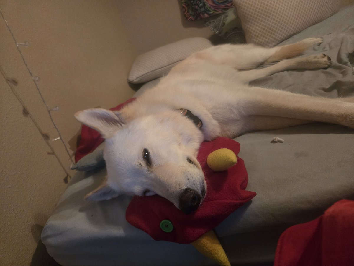 Oh my beautiful becquarel