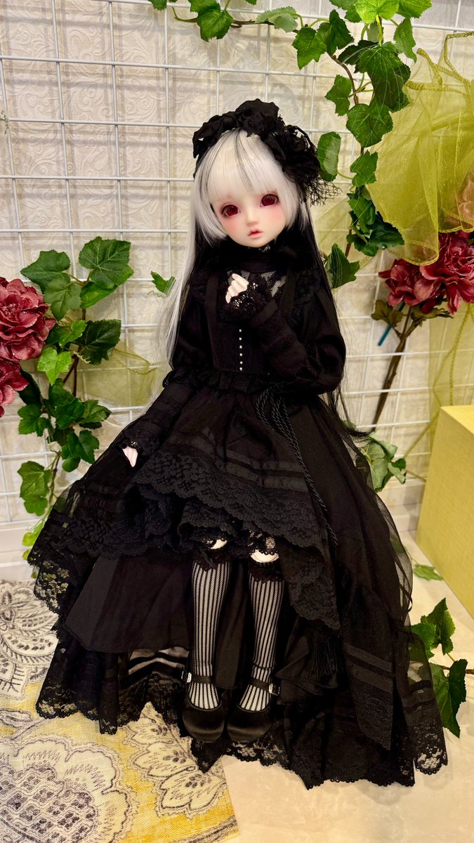 #天使のすみか横浜 のプレオープンに桜璃を連れて行って来ました！

フルチョお迎えの時と同じドレスで里帰り気分です✨スタッフさん達に可愛い〜💕って声掛けしてもらって嬉しかった✧ฺ･｡(✪▽✪*)･｡✧

 #sd_f_106