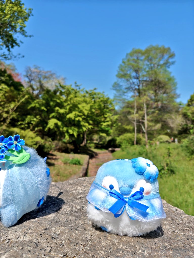 風に煽られて、よくこうなります💦

お出かけ注意⚠️