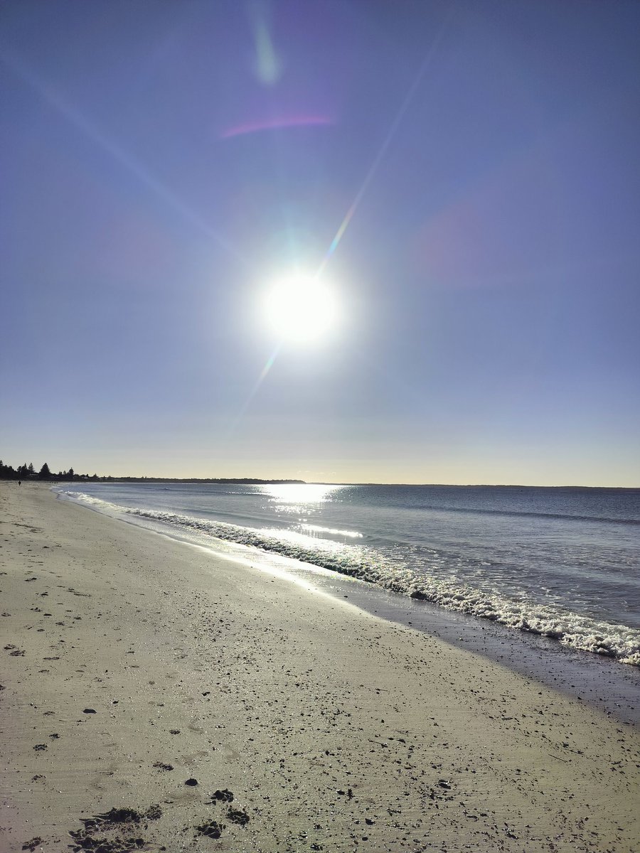 MillingtonSally's tweet image. Morning 5km run 
Lovely route through the forest (on a good track), along the road and back on the beach where the sand wasn't too soft. 
Happy Saturday 😀🏃‍♀️🇦🇺
#Myola #Running #Australia