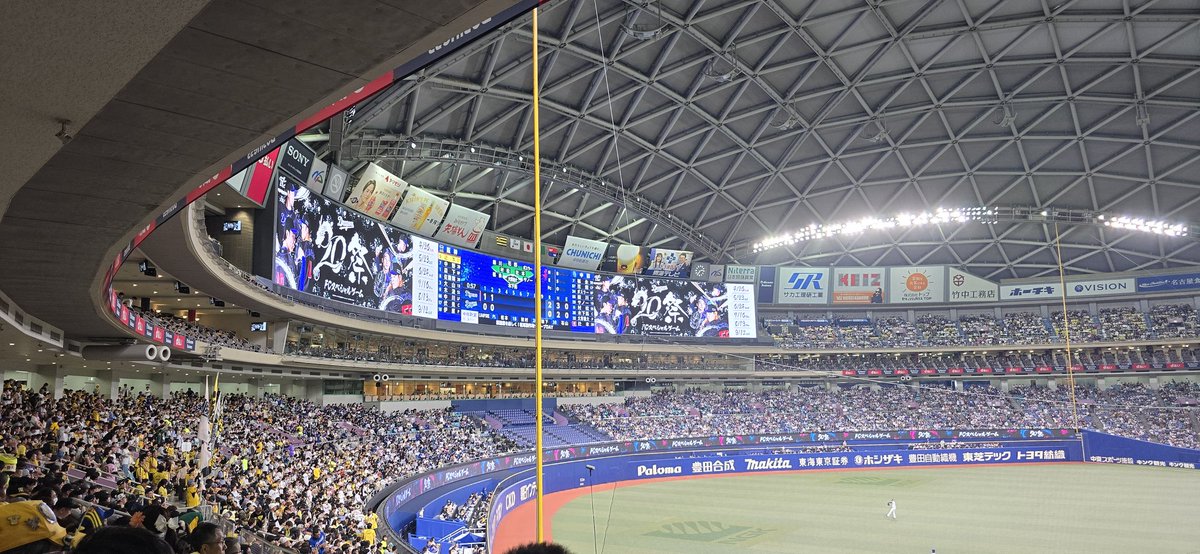 野球見に来た！
ポテト食べてる間にホームランが2本入ってた⚾
 
#阪神タイガース