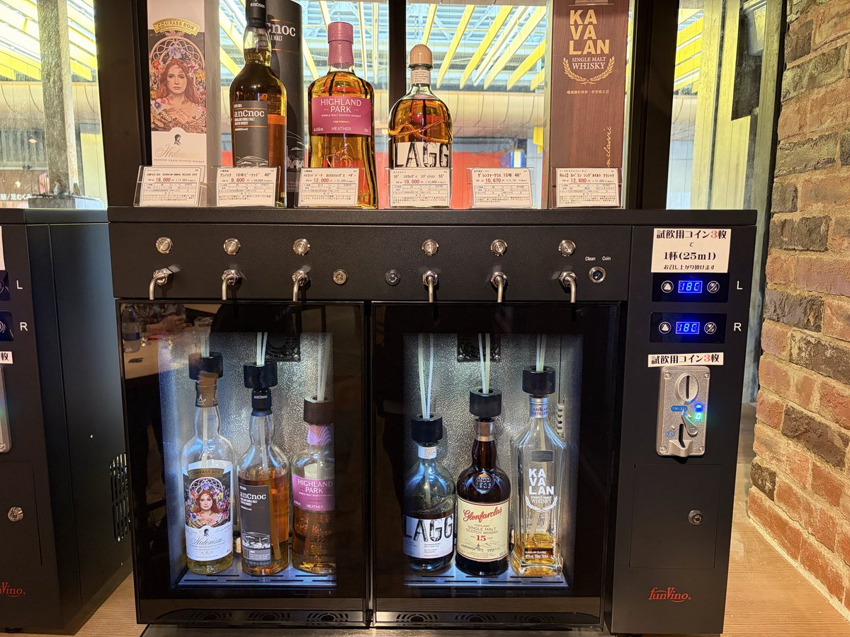 たぶんクマ〻MaybeKuma tweet media