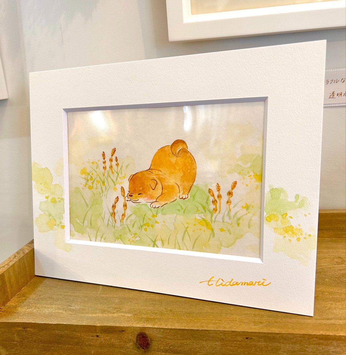 ひだまり🌻まるデザ19日【F-11】 tweet media