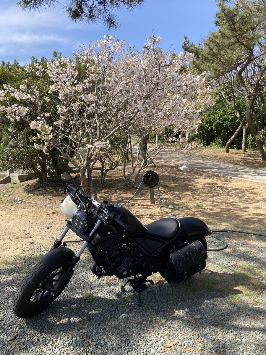 半年ぶりに乗ったけどバッテリーあがってなくてよかった😅