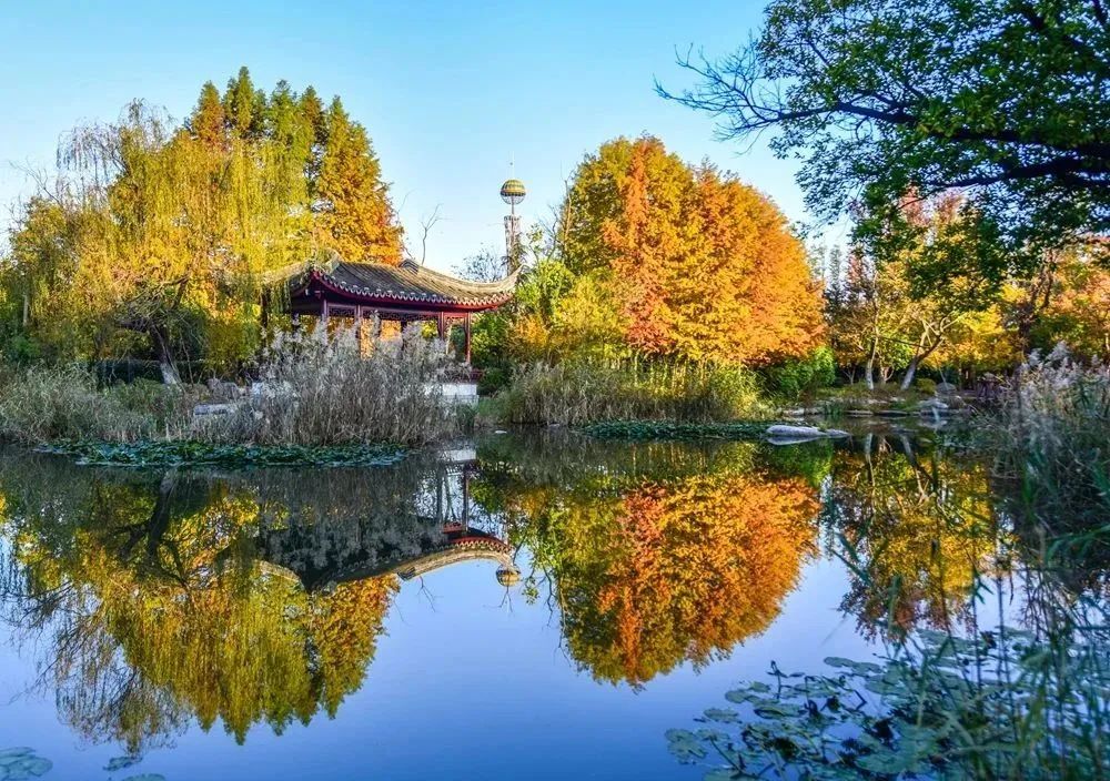 Lee elliott tweet media