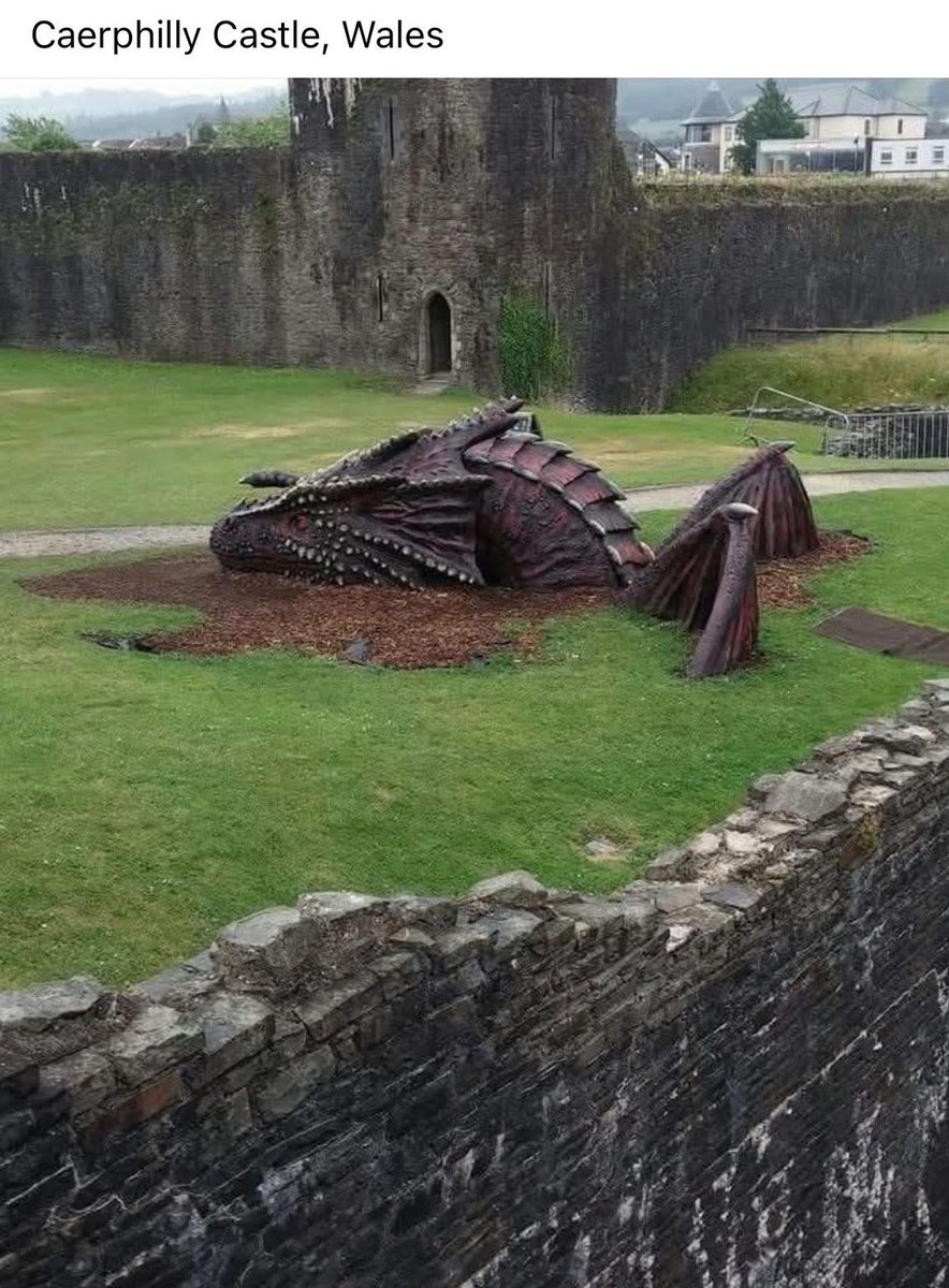 Mystic Castle tweet media