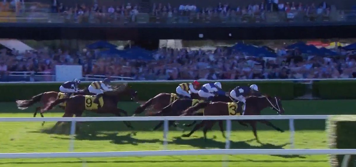 AIDANOBRIENFANSITE tweet media