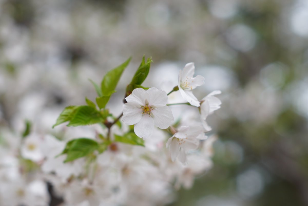 すいと🎺日常用 tweet media