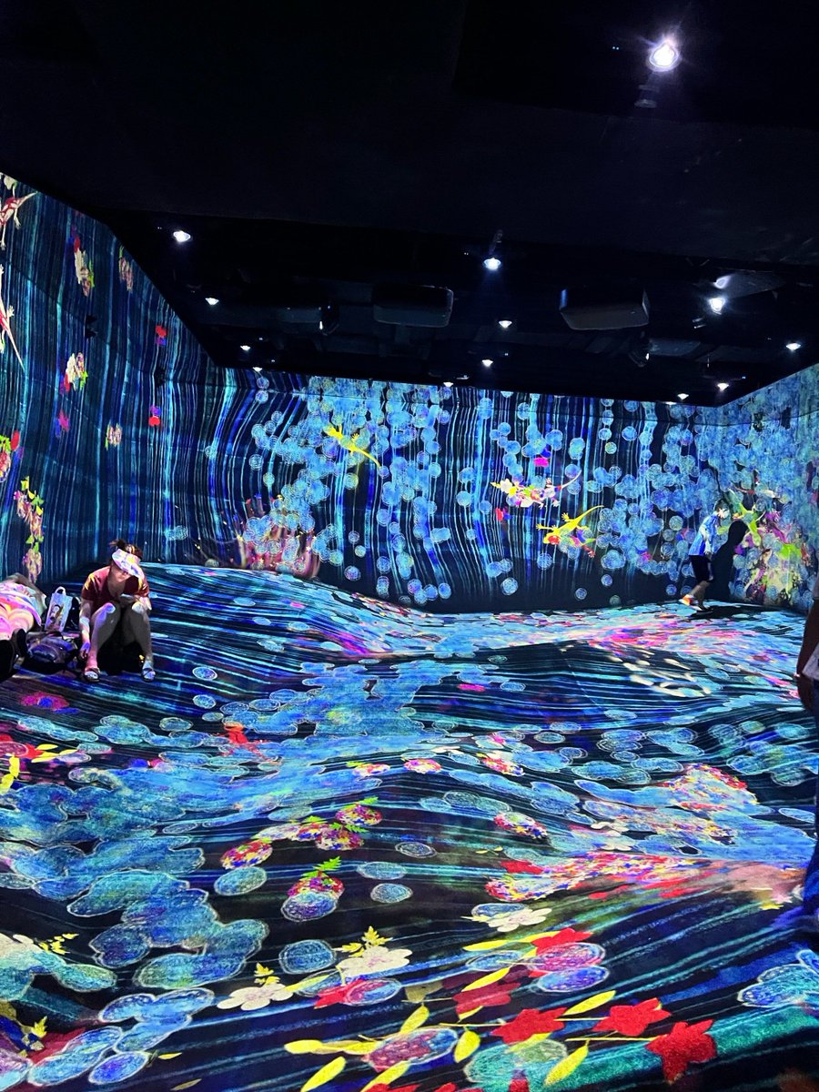 iris gil tweet media