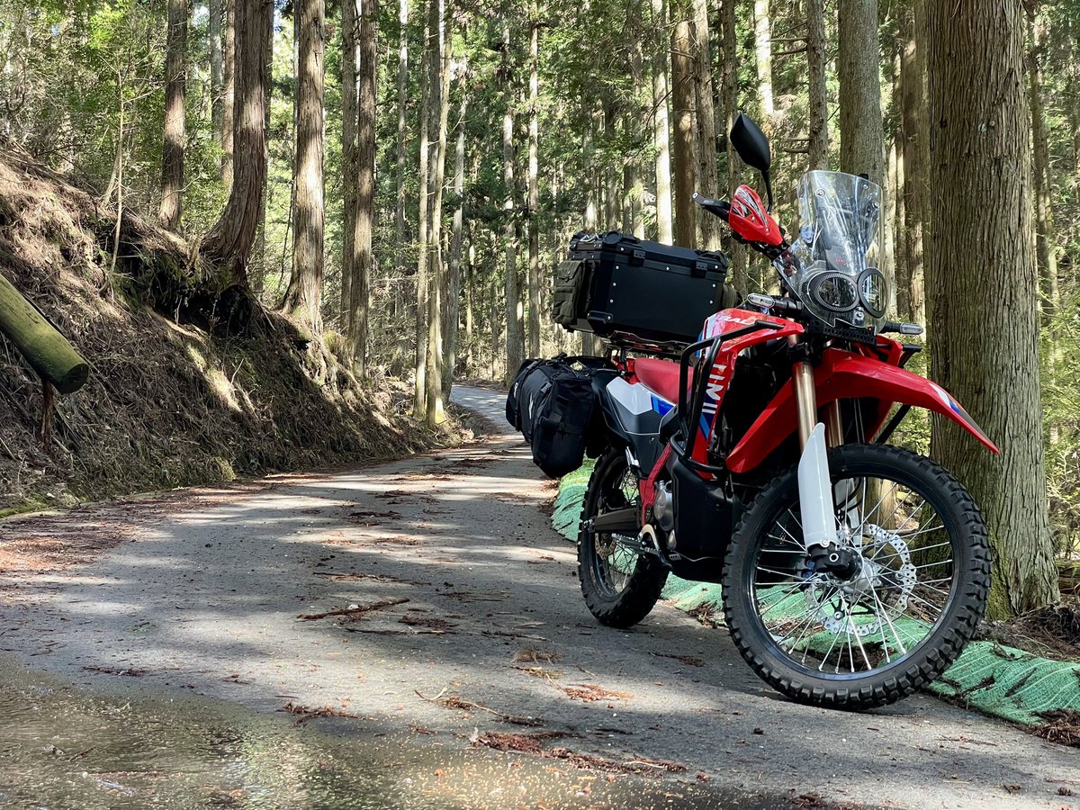 Seras@FF14(SEEKERのフロントバンパーの人) tweet media