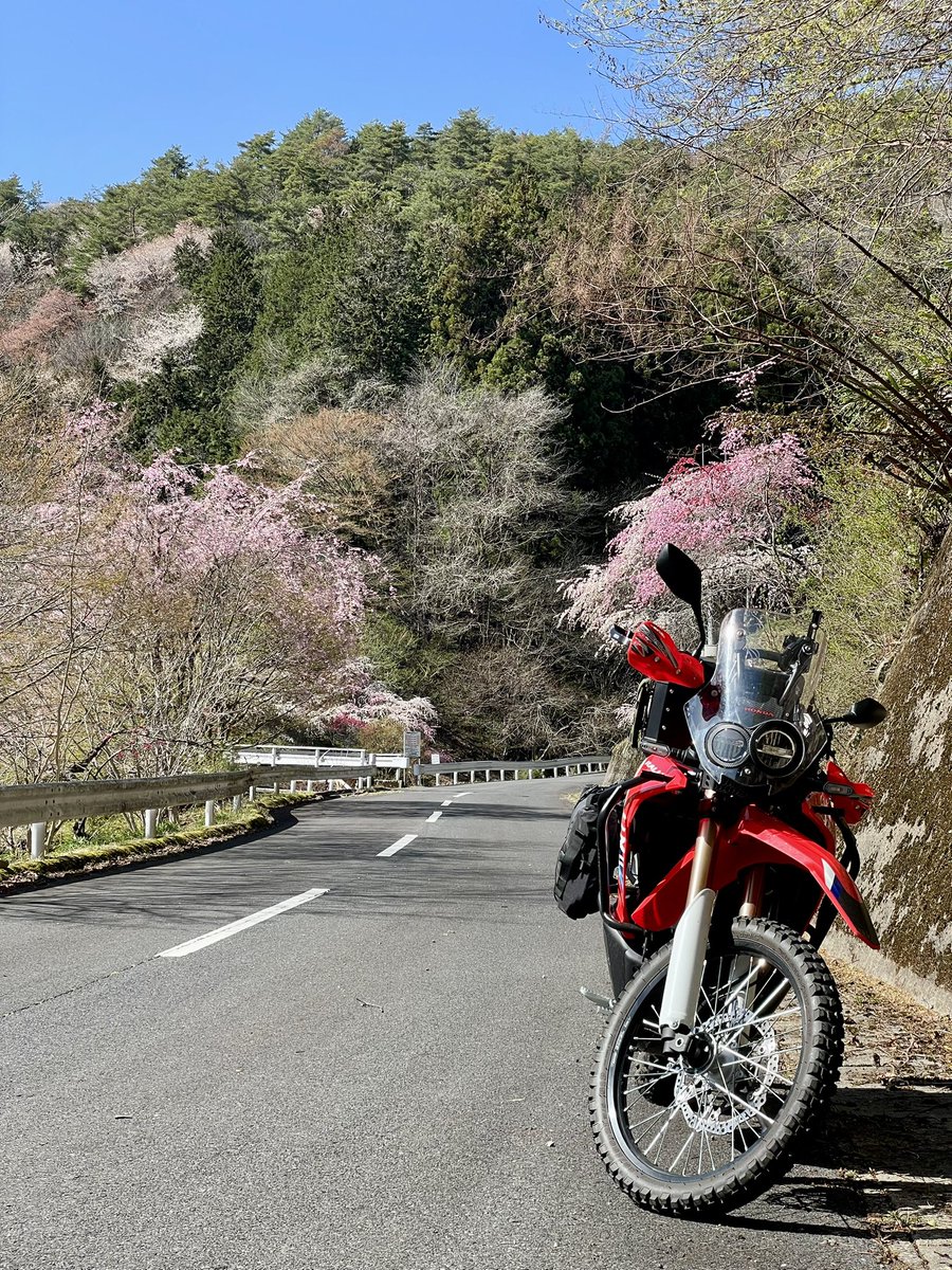 Seras@FF14(SEEKERのフロントバンパーの人) tweet media