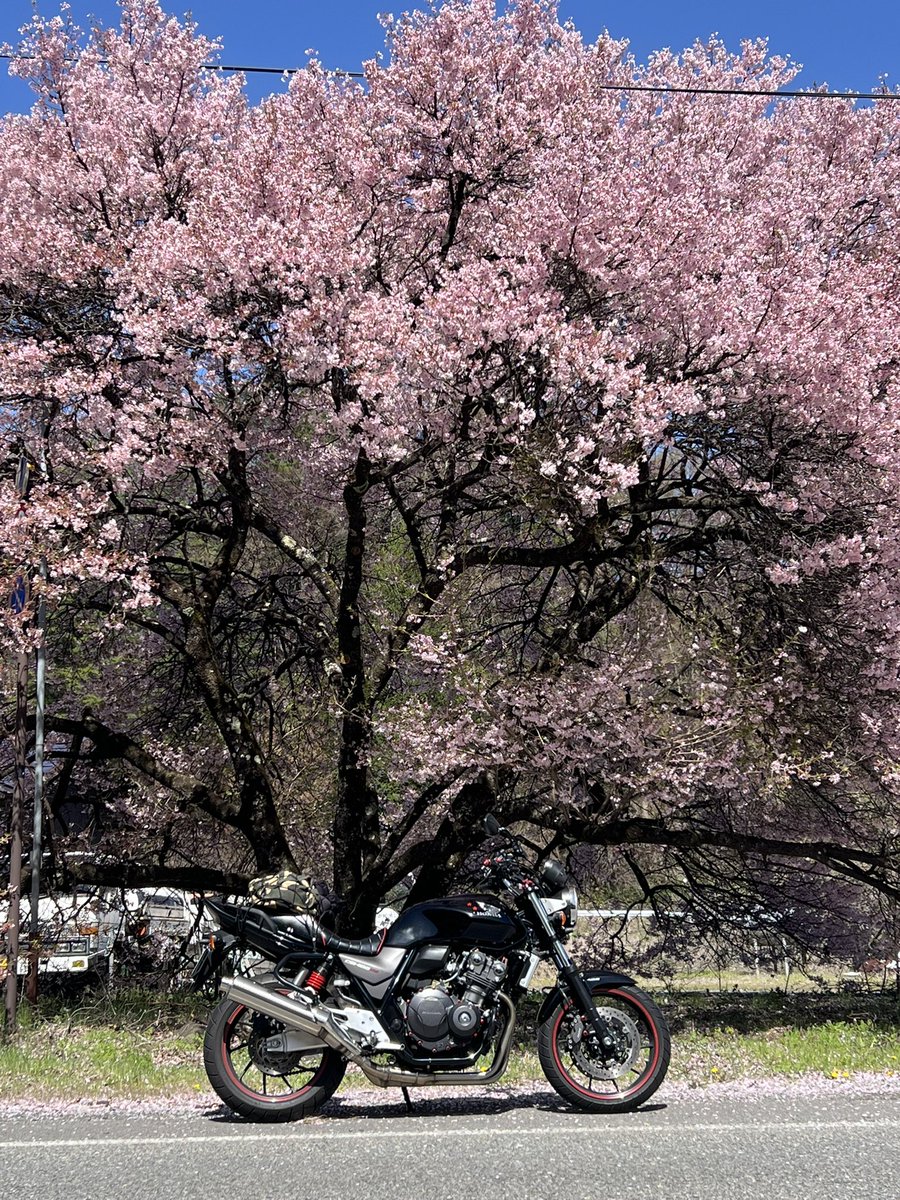 さちこ@CB400SF tweet media