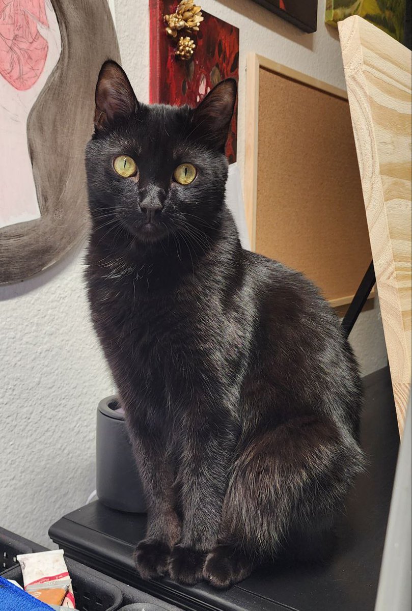 Lilith Crow tweet media