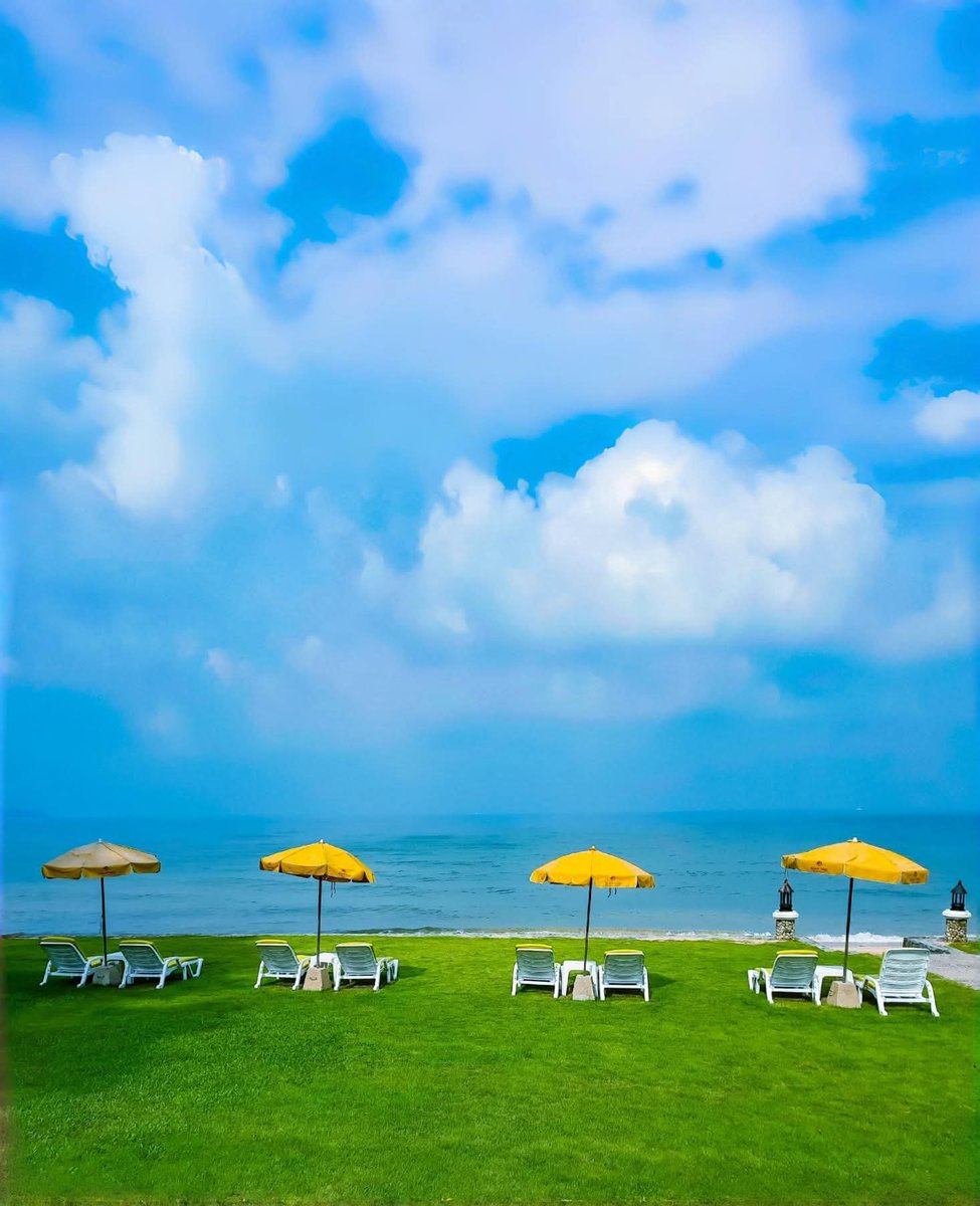 Tanu Trai. tweet media