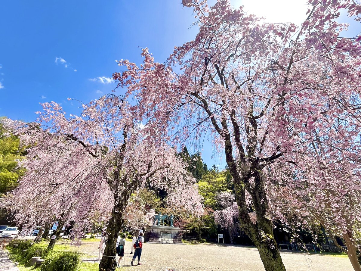 およしちゃん@10th Anniv. tweet media