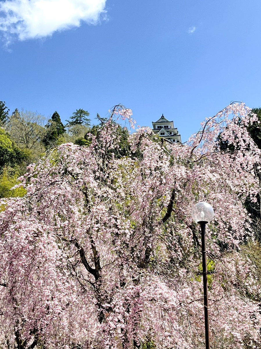およしちゃん@10th Anniv. tweet media