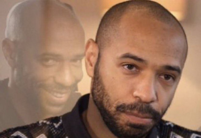 الهدهد tweet media