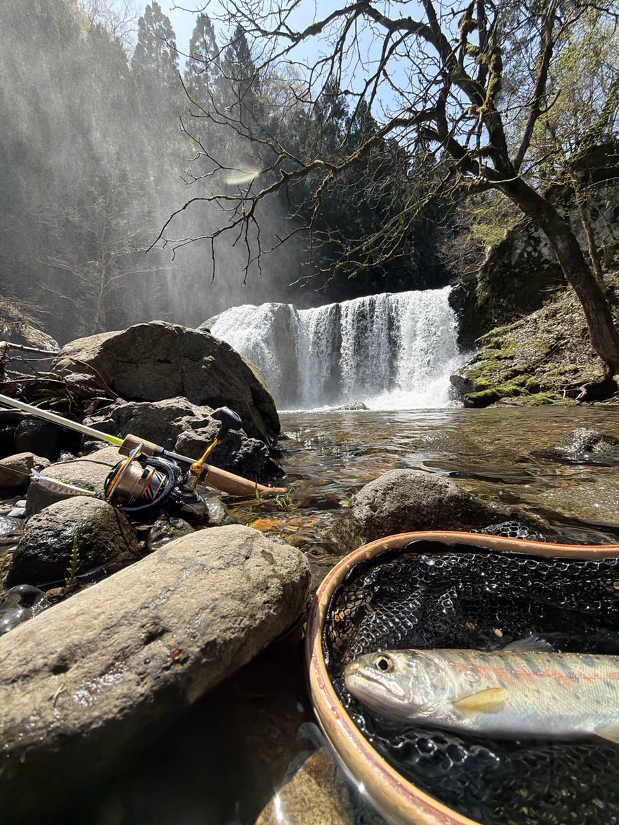 ふぁん tweet media