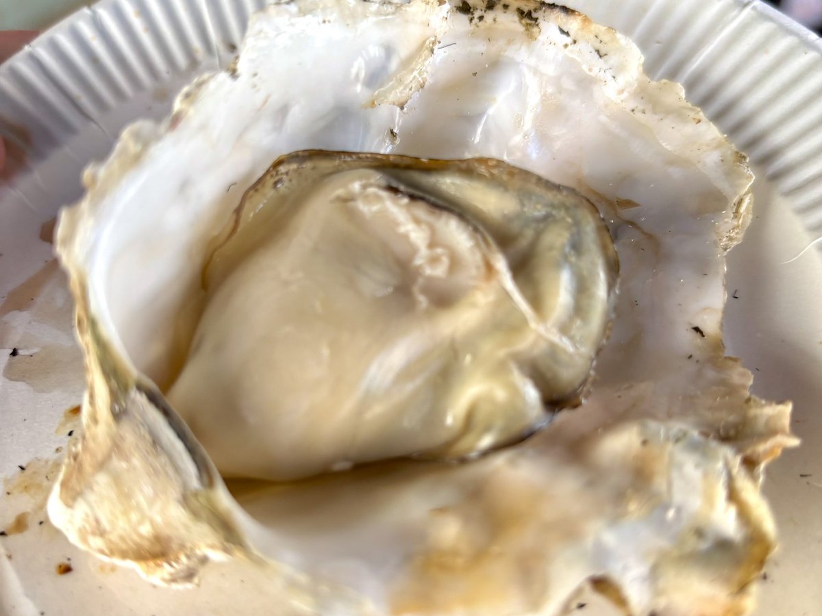 仁(8068) tweet media