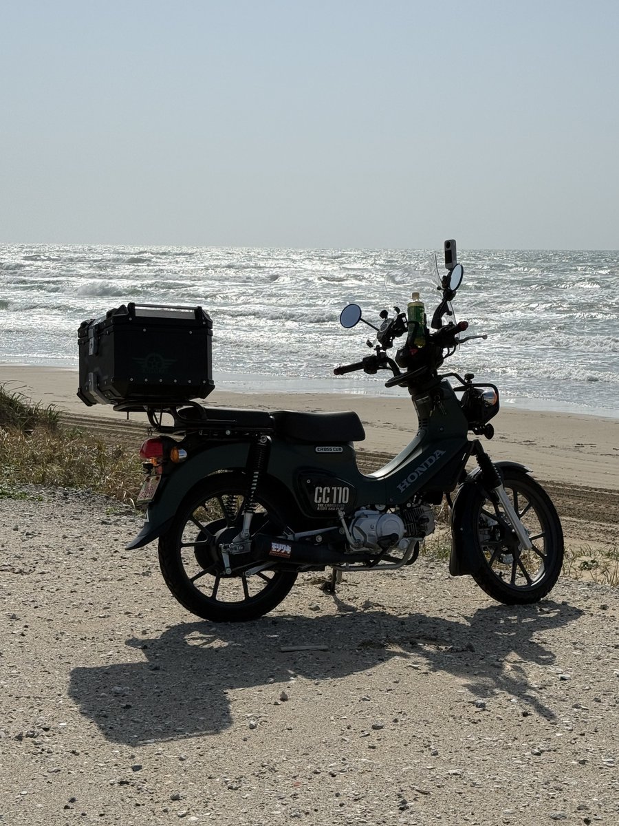 なおき 。 tweet media