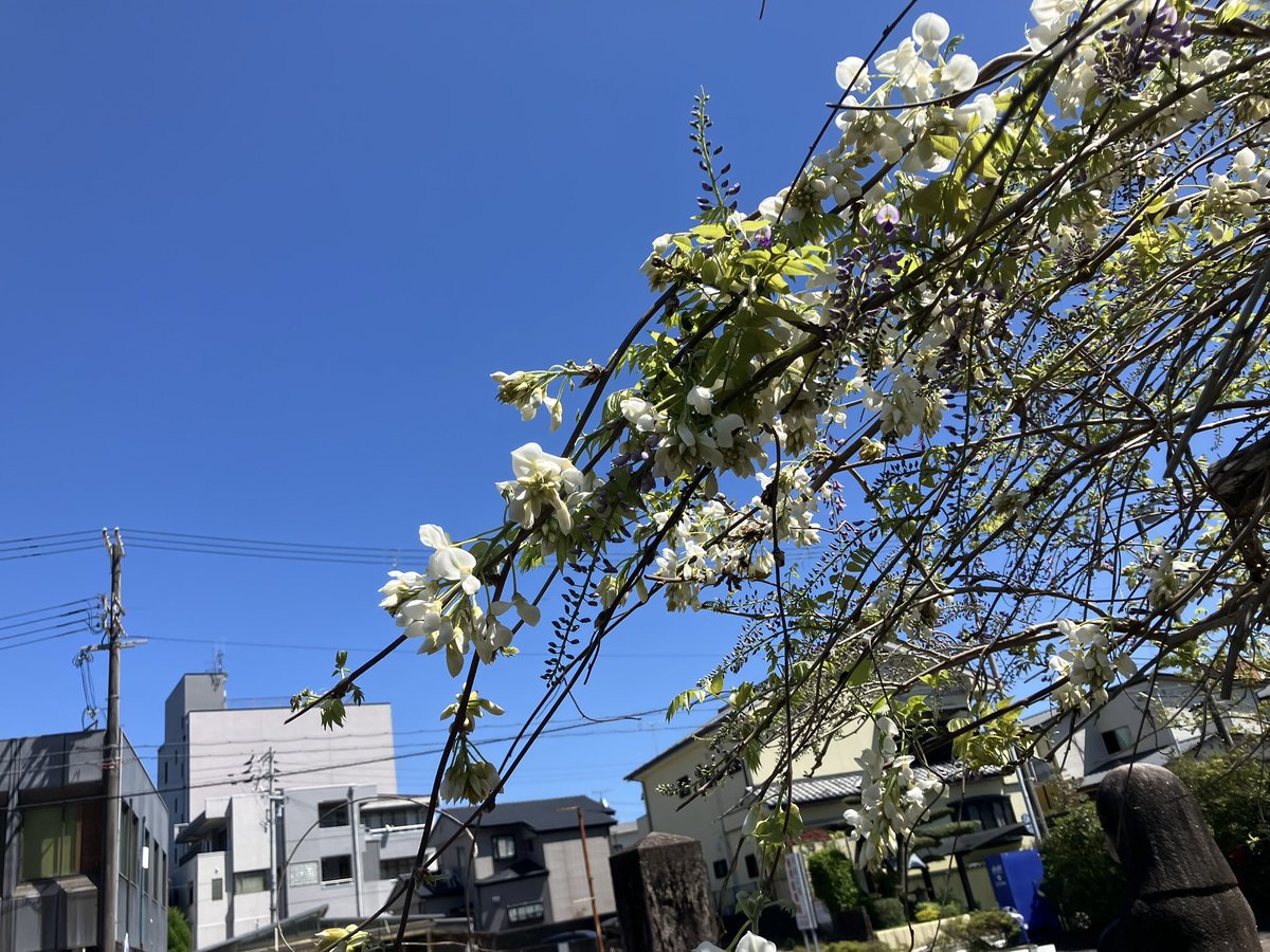 前田兄弟 tweet media