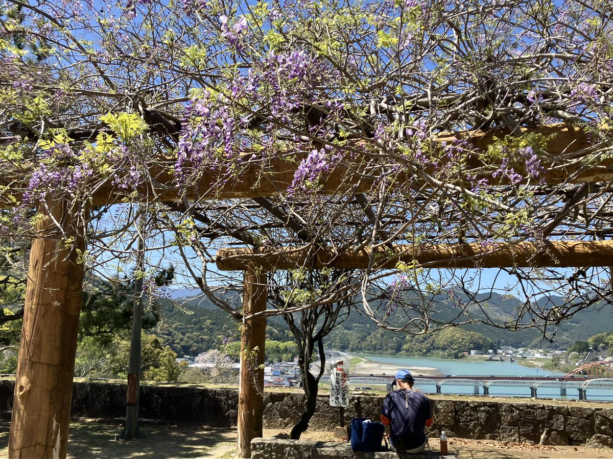 前田兄弟 tweet media