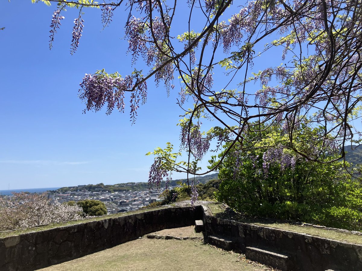 前田兄弟 tweet media