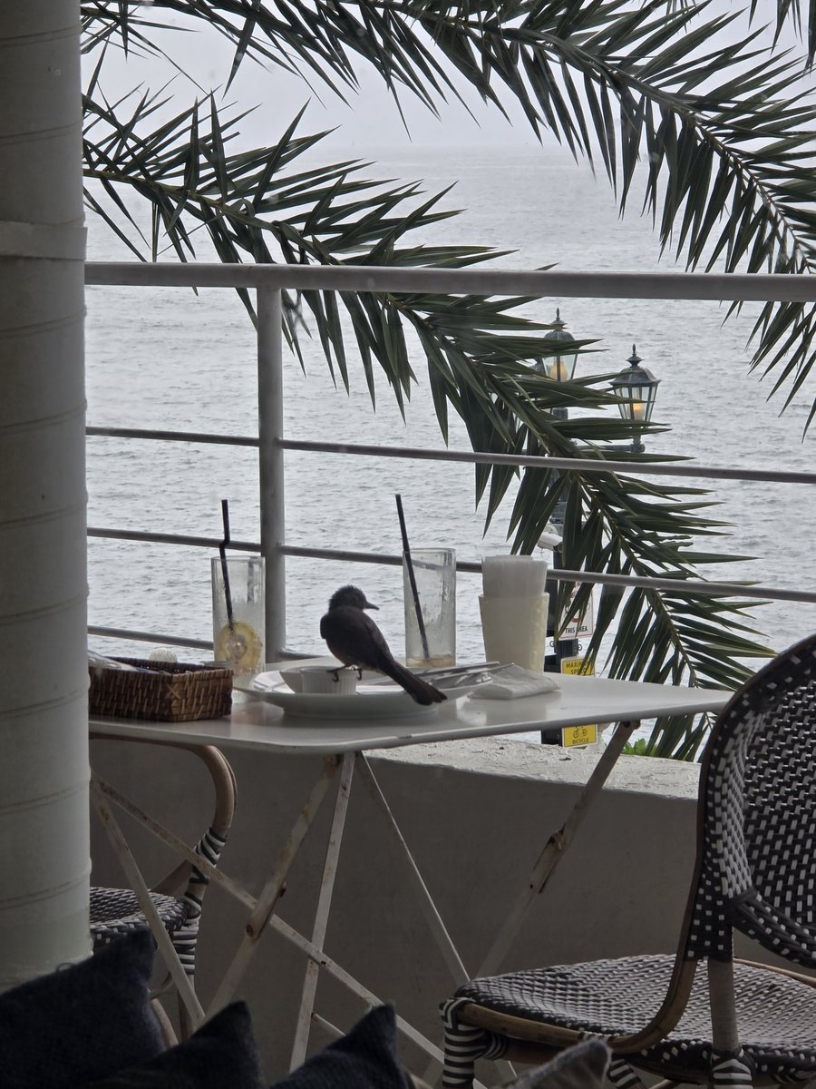 きぃちゃん tweet media