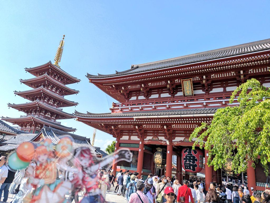 がーと / gaato tweet media