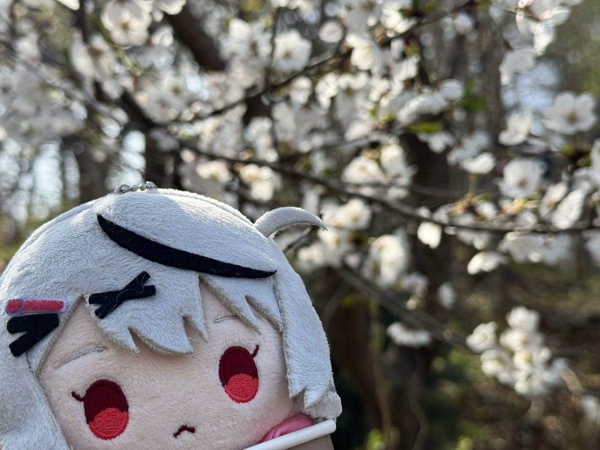 エンティ👾🫧 tweet media