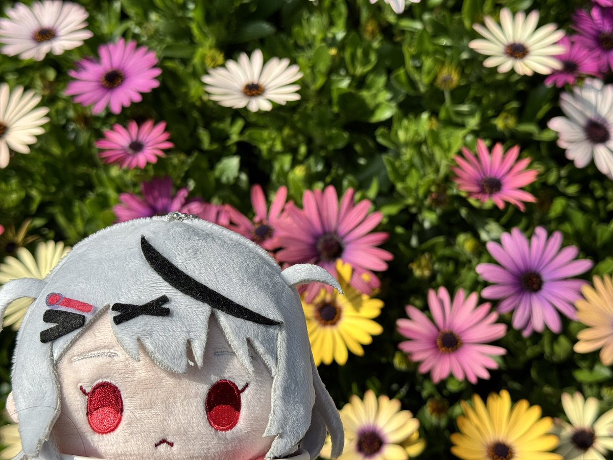 エンティ👾🫧 tweet media