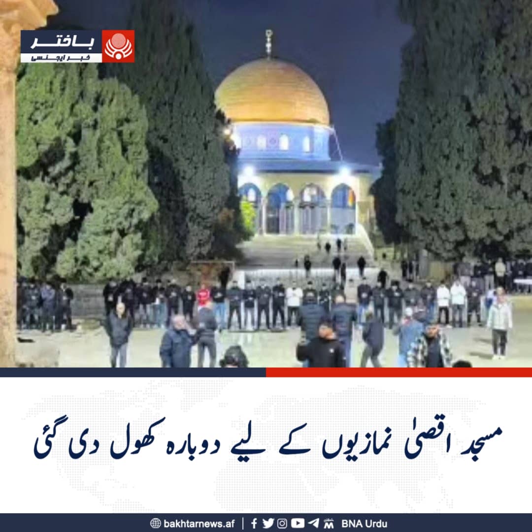 حاجي اسد tweet media