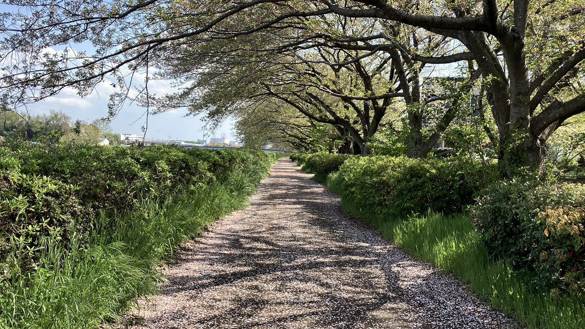 水月様3 tweet media