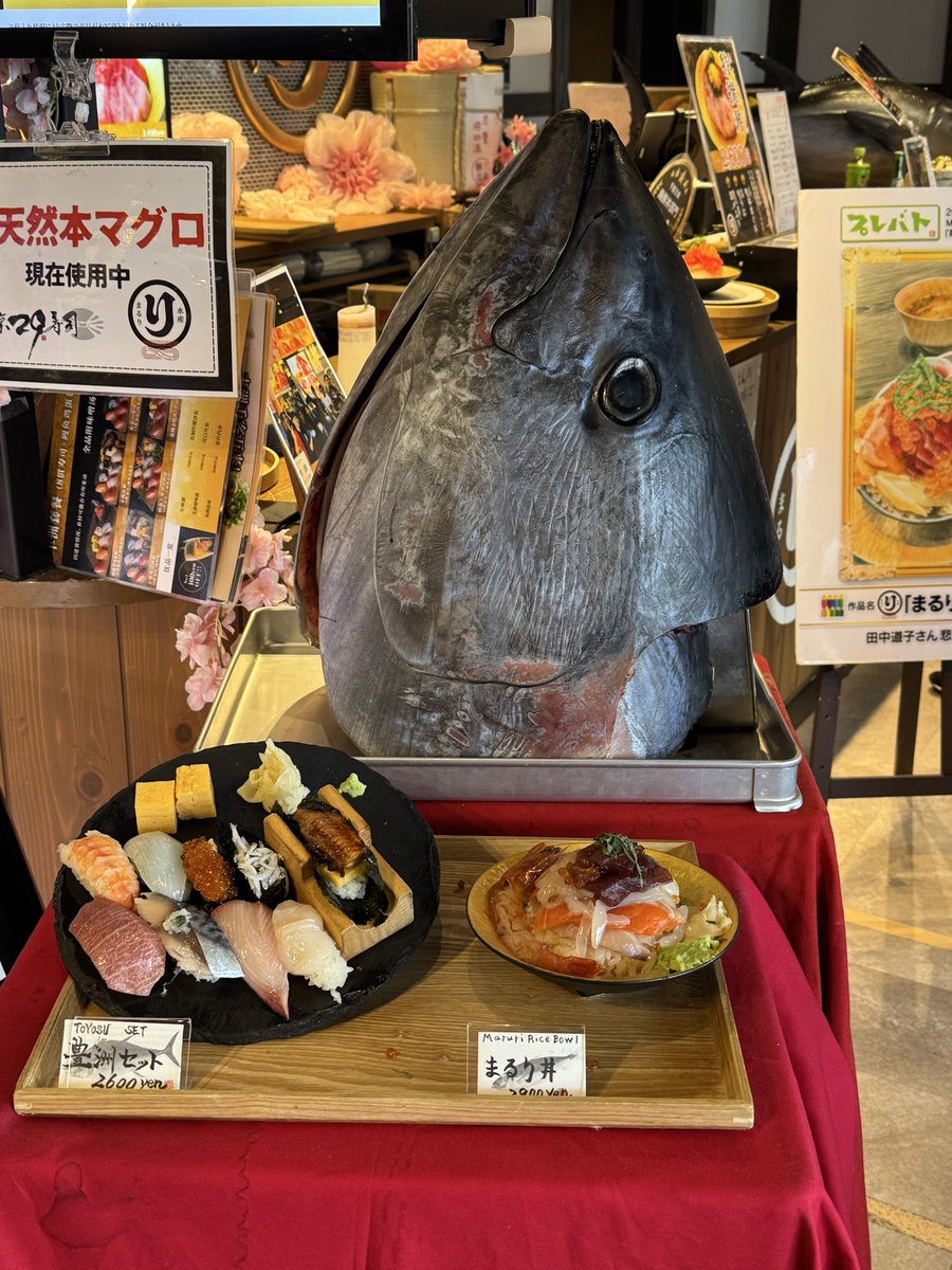 初めての豊洲🐟