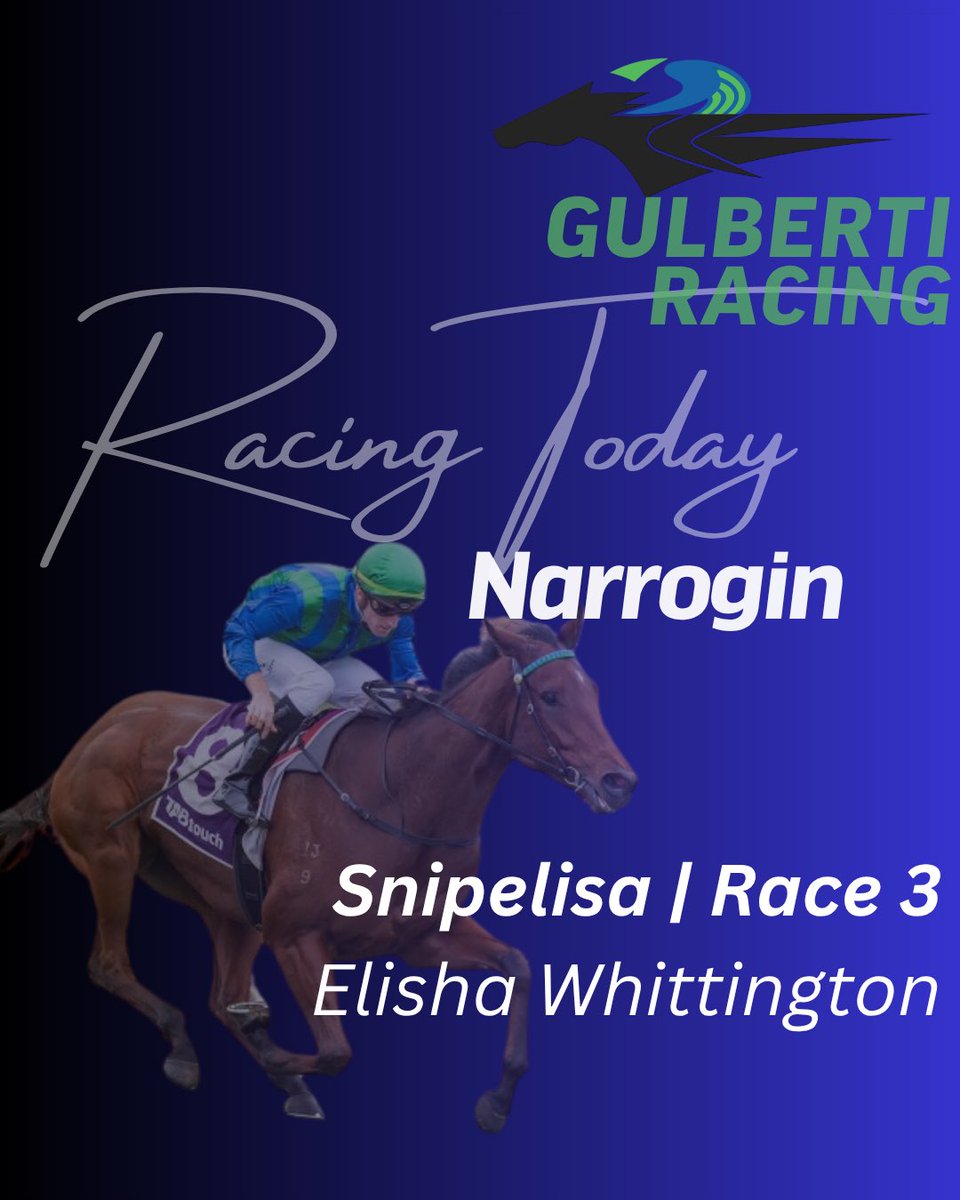 Gulberti Racing tweet media
