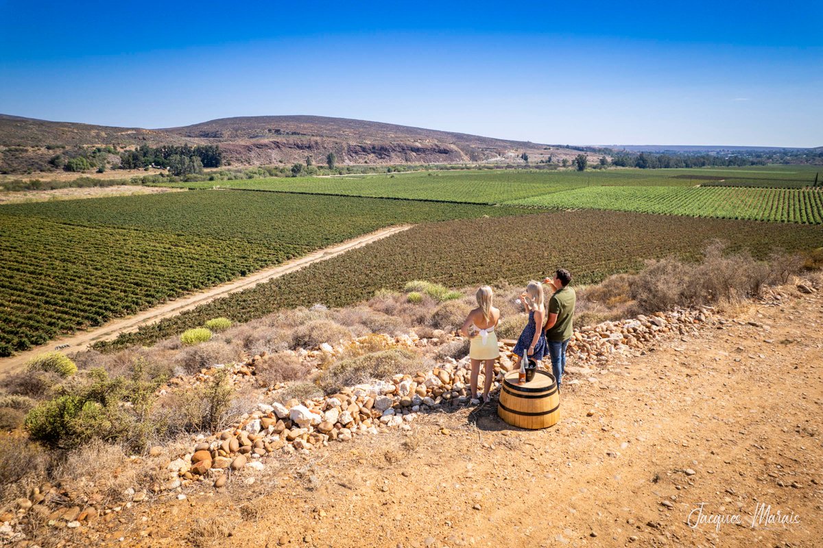 visitNWC's tweet photo. 🍷 Taste the West Coast Wine Route at @WTM_Africa!
🎁 Engage with us &amp; win wine packs.
📍 Stand N12 | 13–15 April
🔗 https://t.co/jYaHmRmSmt
#WTM #NamaquaWestCoast #wtm2026 https://t.co/3RLXKkLcbA