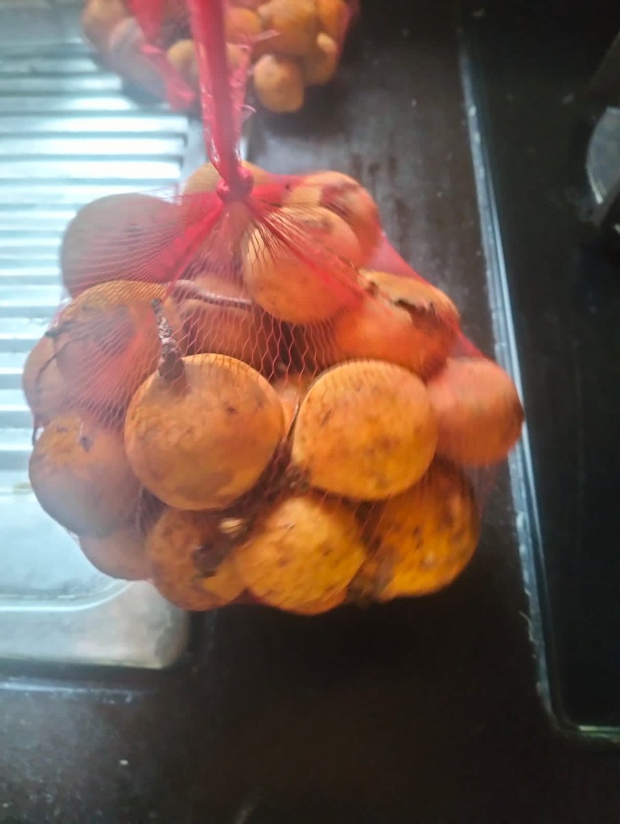 Learn kiGiryama tweet media