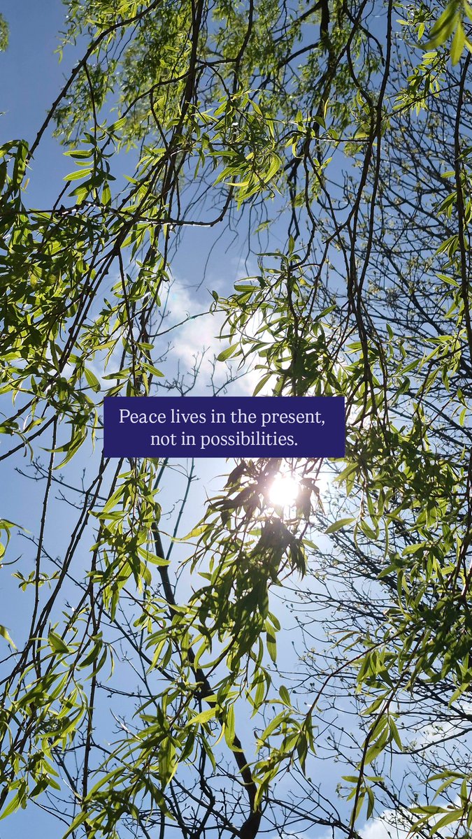 Marie Campion tweet media