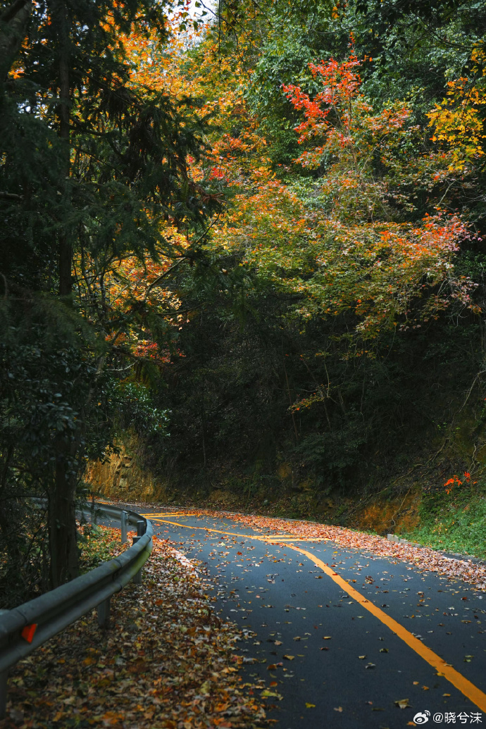 Jacob njeru tweet media