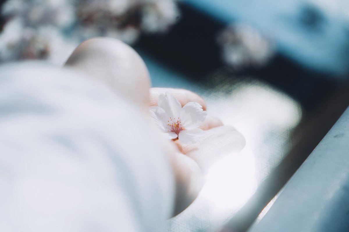 春の忘れもの。