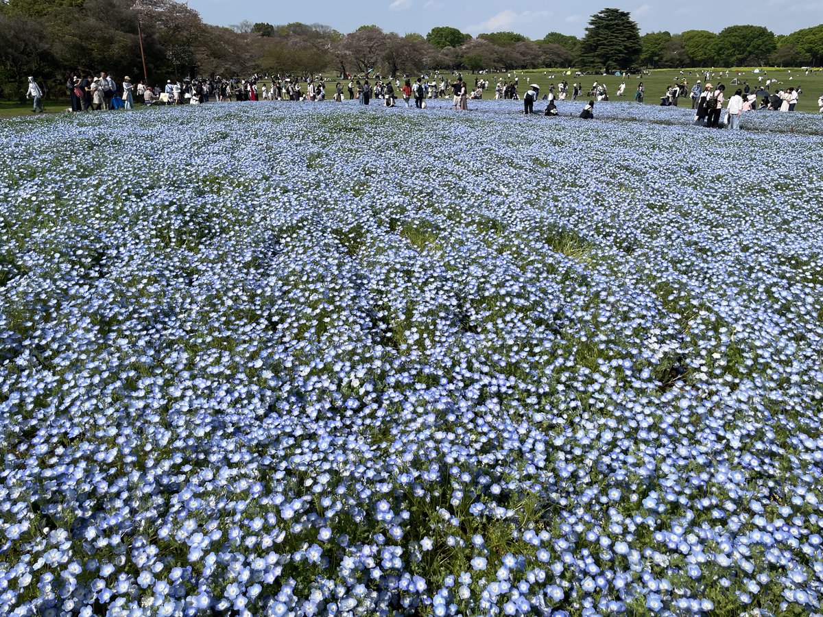 よーさん tweet media